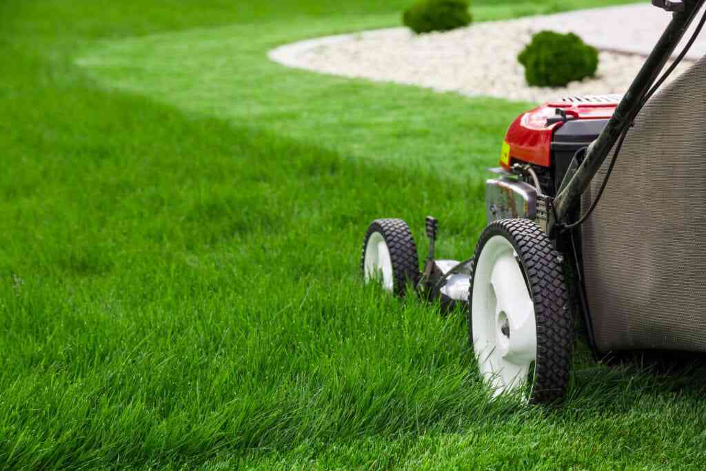Garden Maintenance