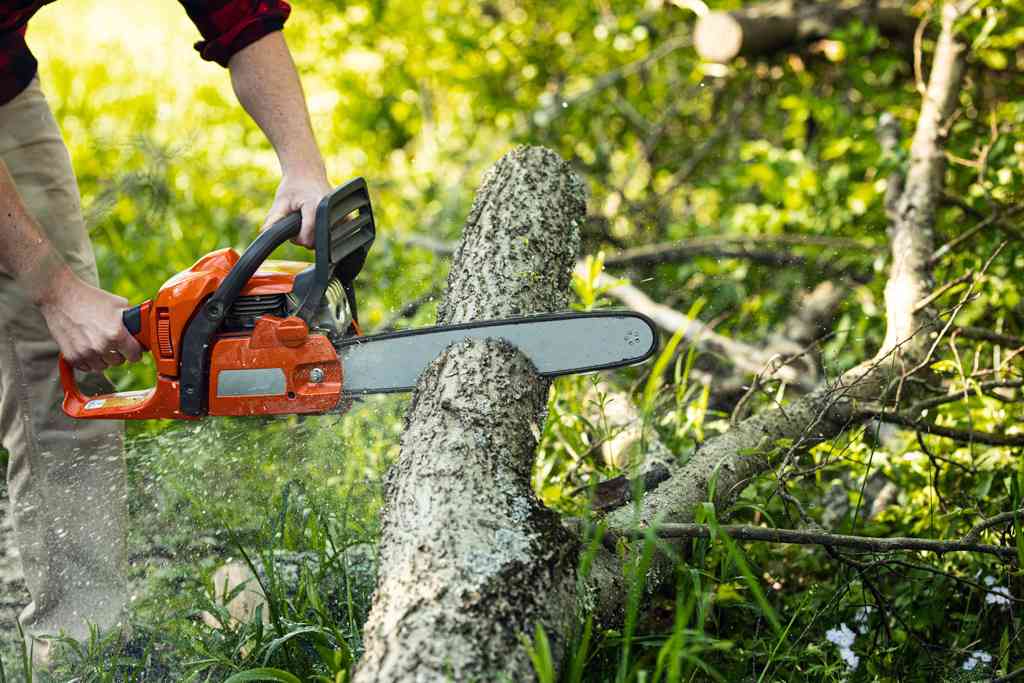 Tree Cutting