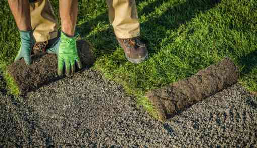 Natural Lawn